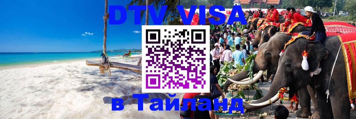 Оформление DTV визы под ключ: стоимость и тарифы, только загранпаспорт - Петрозаводск 